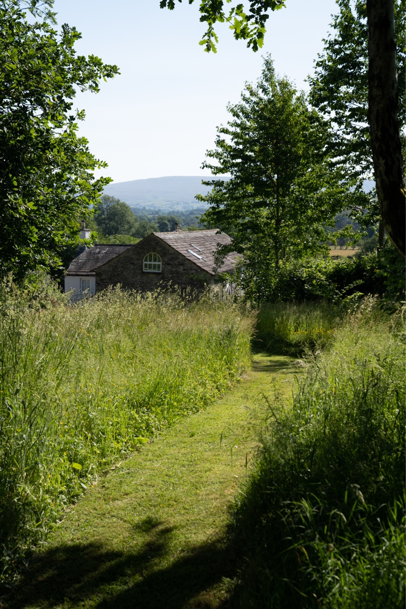 Path through wood