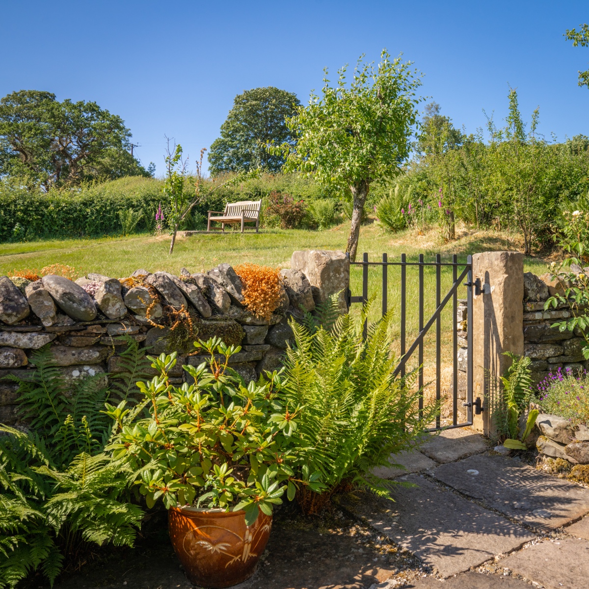 Private garden