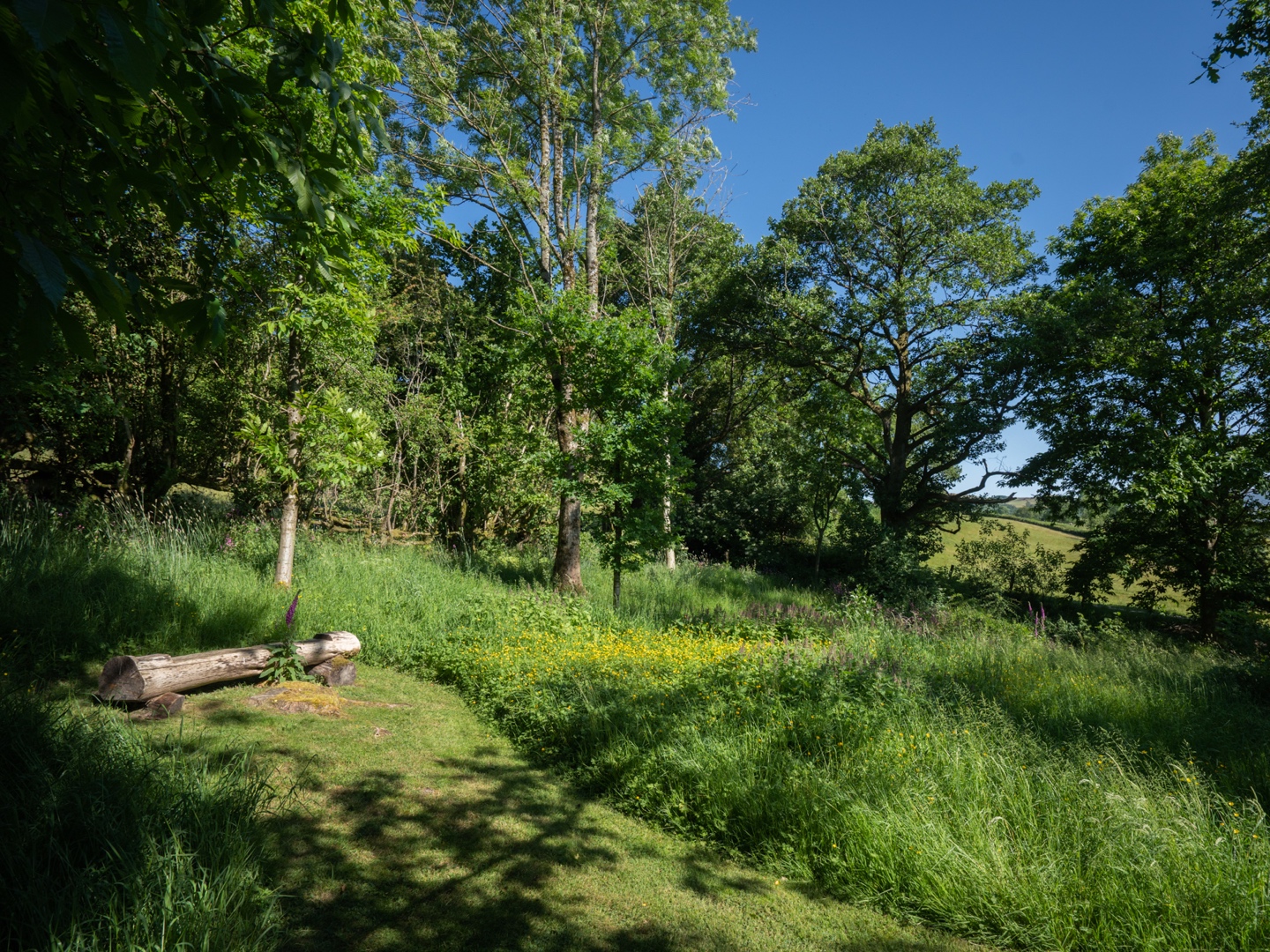 The Roost Cottage setting